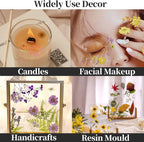 Pressed Flowers Purple 33 Pcs of 12 Types | Real Dried Flowers - Image 8