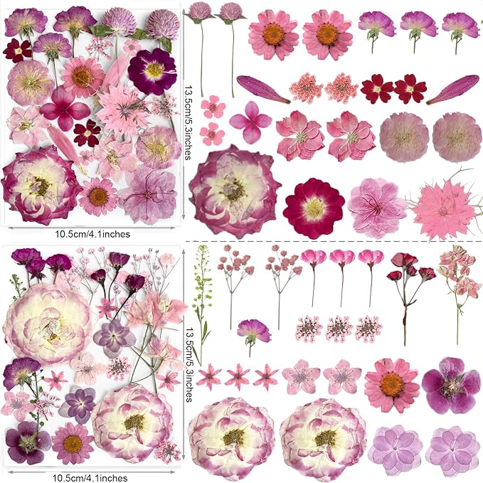 148PCS Purple Hot Pink Dried Pressed Flowers - Image 3