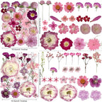 148PCS Purple Hot Pink Dried Pressed Flowers - Image 3