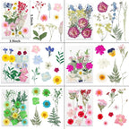 NESCCI 428 Pcs Dried Pressed Flowers - Image 4