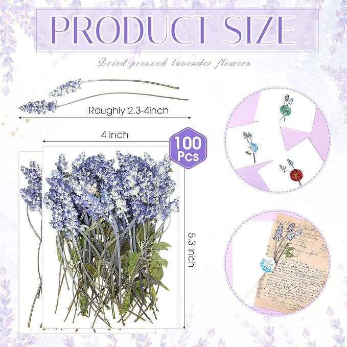 Wavwavw 100 Pcs Pressed Dried Lavender Flowers Stems Natural Preserved Real - Image 2