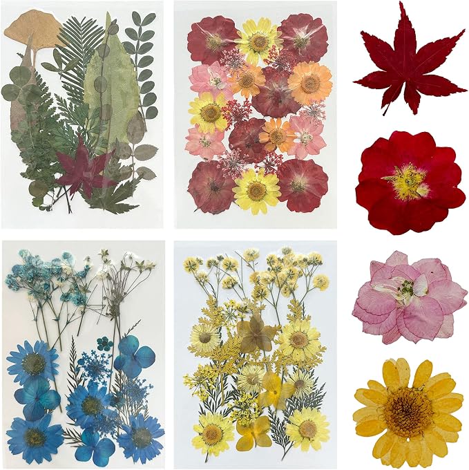 Woohome 78PCS Natural Dried Pressed Flowers and Natural Dried Pressed Leaves by Woohome