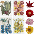 Woohome 78PCS Natural Dried Pressed Flowers and Natural Dried Pressed Leaves by Woohome