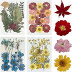 Woohome 78PCS Natural Dried Pressed Flowers and Natural Dried Pressed Leaves by Woohome