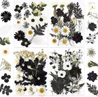 DALARAN Black Dried Pressed Flowers by DALARAN