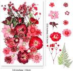 15 Types 37pcs Red Dried Pressed Flowers - Image 2