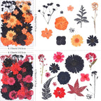 154Pcs Black Dried Pressed Flowers - Image 2