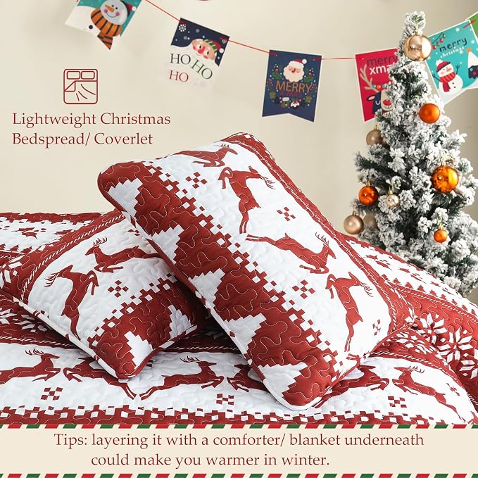 Exclusivo Mezcla Reversible Christmas Quilts Queen Size - Image 5