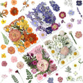 LUXEEASE 4-Color 80P Natural Dried Pressed Flowers | Orange purple pink white by LUXEEASE