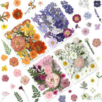 LUXEEASE 4-Color 80P Natural Dried Pressed Flowers | Orange purple pink white by LUXEEASE