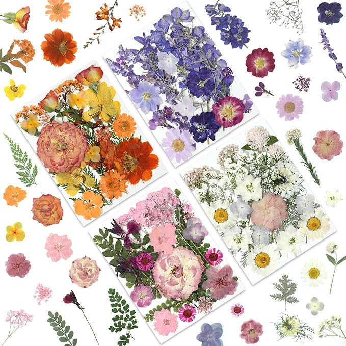LUXEEASE 4-Color 80P Natural Dried Pressed Flowers | Orange purple pink white by LUXEEASE