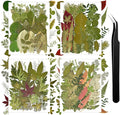 140+ Pcs Dried Flowers Leaves for Crafts, Dried Pressed Flowers for Resin Molds by Wellcometowyegey