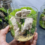 Natural Rocks Pagoda Stones 1-2.5 Inches Decorative Rocks - Image 5