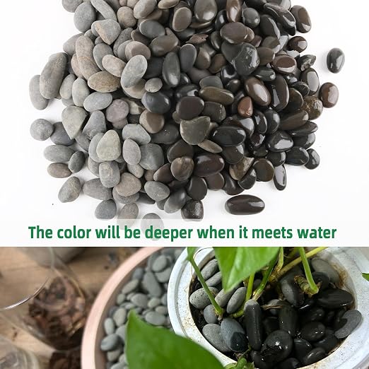 2.4LB River Rocks Mexican Beach Pebbles - Image 3