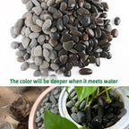 2.4LB River Rocks Mexican Beach Pebbles - Image 3