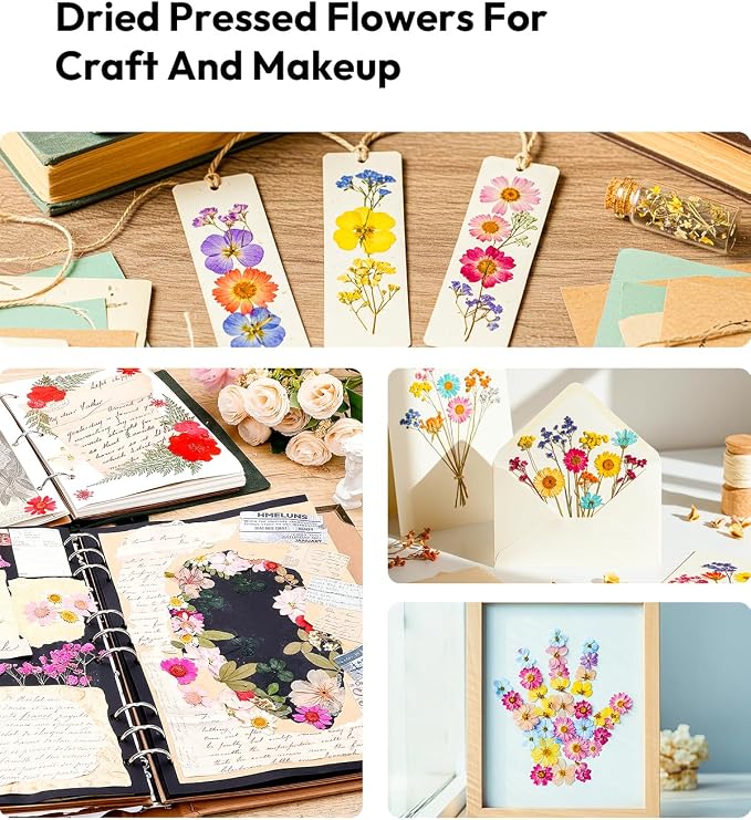 Dried Flowers, Resiners 100Pcs Pressed Flowers - Image 8