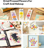 Dried Flowers, Resiners 100Pcs Pressed Flowers - Image 8