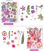 110+PCS Pressed Flowers for Resin Molds, Colorful-A | Real Dried Flower Leaves - Image 2