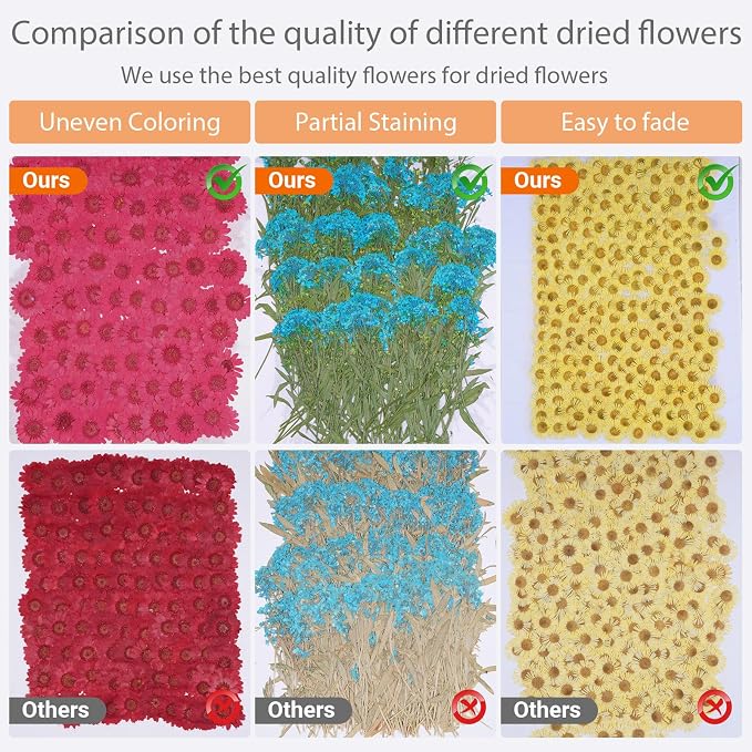 96Pcs Fall Dried Pressed Flowers - Image 4
