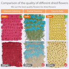 96Pcs Fall Dried Pressed Flowers - Image 4