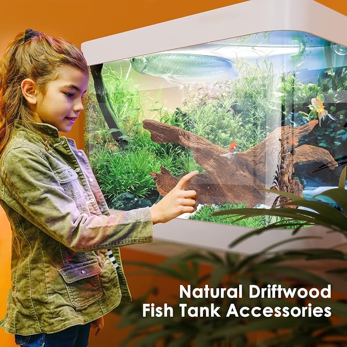 Jorewood Natural Small Aquarium Driftwood - Image 5