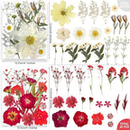 301Pcs Multi-Style Dried Pressed Flowers & Leaves - Image 4