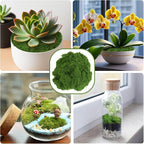 Fake Green Moss for Potted Plants, Artificial Moss for Crafts Indoor, DIY Table - Image 6