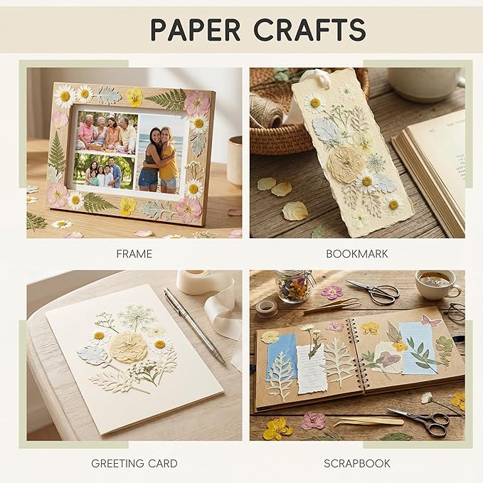 LUXEEASE 80P White Pink Dried Pressed Flowers | Ivory white palette, fits any - Image 5