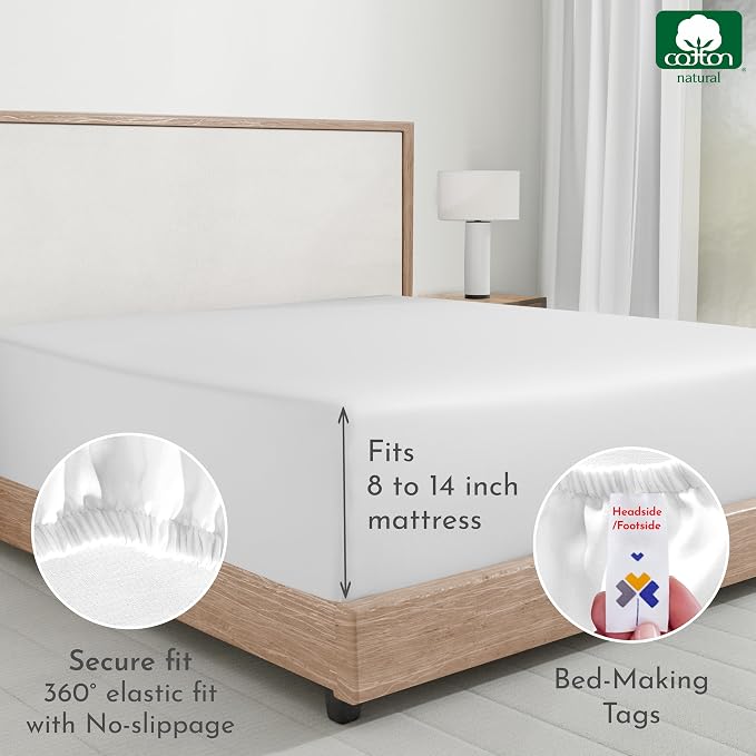 California Design Den Queen Fitted Sheets 2 Pack - Image 5