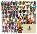 100PCS Insect Specimen PET Stickers – Bug-Themed Waterproof Decals Featuring by Unknown