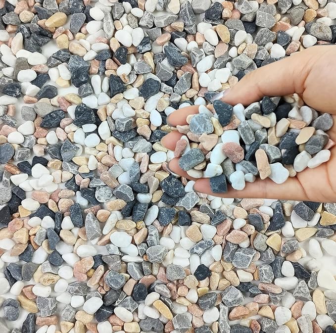 FANTIAN 2 lbs Succulent and Cactus Pebbles Gravel, 3/8 Inch Mixed Color by FANTIAN-GardeningMakesLifeBetter