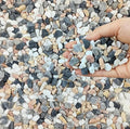 FANTIAN 2 lbs Succulent and Cactus Pebbles Gravel, 3/8 Inch Mixed Color by FANTIAN-GardeningMakesLifeBetter