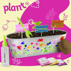 Dan&Darci Paint & Plant Flower Growing Kit - Image 4