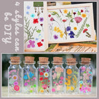Nuanchu Small Dried Flower for Craft Resin Mini Pressed Flowers Bulk Real Tiny - Image 5