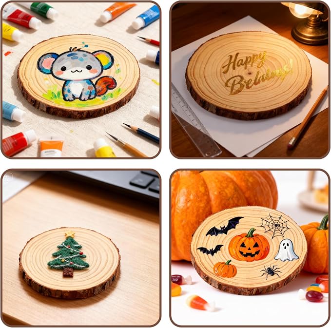FSWCCK 6 PCS Unfinished Wood Slices - Image 3
