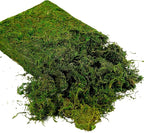 USMOLA Artificial Moss, 16OZ Fake Moss - Image 3