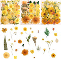 100 PCS Yellow Pressed Dried Flowers and Leaves by Cokosing