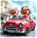 Legrace Old Lady Diamond Art Painting Kits by Legrace