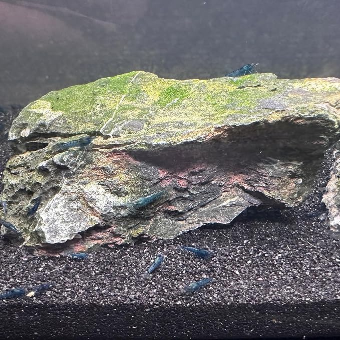 YISZM Aquarium Sand, 10lbs Black Fish Tank Sand, Aquarium Gravel Substrate - Image 2