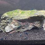 YISZM Aquarium Sand, 20lbs Black Fish Tank Sand, Aquarium Gravel Substrate - Image 4