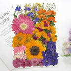 18 Types 75 Pcs Dried Pressed Leaves Flowers Real Natural Dried Plant - Image 6