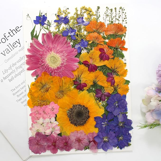 18 Types 75 Pcs Dried Pressed Leaves Flowers Real Natural Dried Plant - Image 6