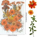 Woohome 4 Pack Dried Flowers for Resin Molds - Image 6