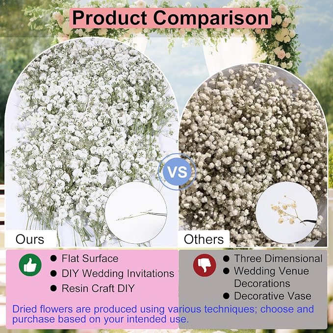 50Pcs Pink Babys Breath Dried Pressed Flowers - Image 6