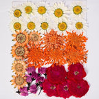 136pcs Dried Flowers for Resin, Dried Pressed Flowers for Crafts Bulk for - Image 6