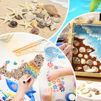 25 Types Small Sea Shells for Crafts - Image 6