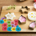 Nuanchu 84 Pcs Pressed Flowers Real Dried Daisies Colorful Pressed Daisy - Image 4