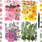 85Pcs Colorful Pressed Flowers for Crafts, Natural Dried Flowers for Crafts by HLCYGJIN