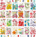 NESCCI 428 Pcs Dried Pressed Flowers by NESCCI
