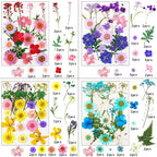 190 Pcs Dried Pressed Flowers for Resin, Real Dried Pressed Flowers for Resin - Image 2